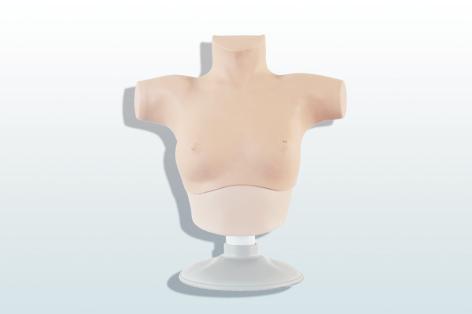 乳腺癌觸診、視診訓(xùn)練模型